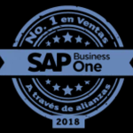 Academia SAP Business One