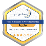 Dirección de Proyectos Híbridos