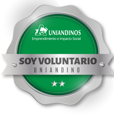 VOLUNTARIO PROFESIONAL 2024
