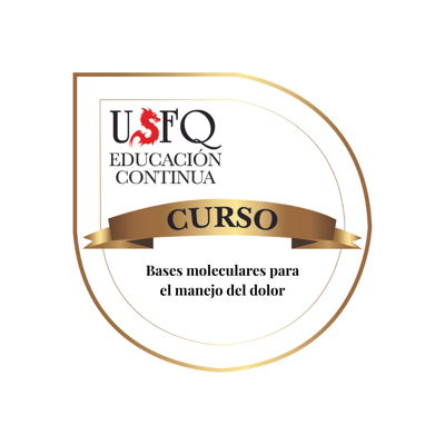 Imagen de la credencial