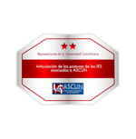 Articulación de las posturas de las IES asociadas a ASCUN