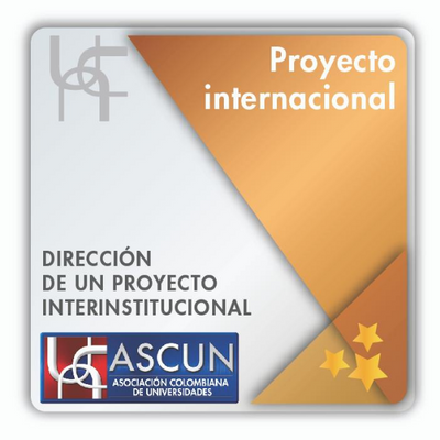 Dirección de un proyecto interinstitucional aprobado - Internacional