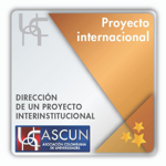 Dirección de un proyecto interinstitucional aprobado - Internacional