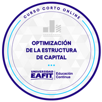 CURSO CORTO ONLINE:OPTIMIZACIÓN DE LA ESTRUCTURA DE CAPITAL