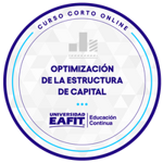 CURSO CORTO ONLINE:OPTIMIZACIÓN DE LA ESTRUCTURA DE CAPITAL