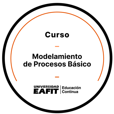 CURSO MODELAMIENTO DE PROCESOS BÁSICO