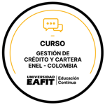 CURSO GESTIÓN DE CRÉDITO Y CARTERA ENEL - COLOMBIA