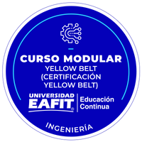 CURSO MODULAR: YELLOW BELT (CERTIFICACIÓN YELLOW BELT)