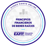 CURSO CORTO ONLINE:PRINCIPIOS FINANCIEROS DE BIENES RAÍCES