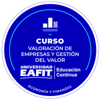 CURSO: VALORACIÓN DE EMPRESAS Y GESTIÓN DEL VALOR