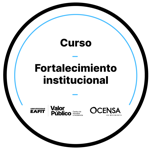 CURSO: FORTALECIMIENTO INSTITUCIONAL