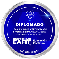DIPLOMADO: LEAN SIX SIGMA: CERTIFICACIÓN INTERNACIONAL YELLOW BELT, GREEN BELT, BLACK BELT