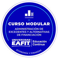 CURSO MODULAR: ADMINISTRACIÓN DE EXCEDENTES Y ALTERNATIVAS DE FINANCIACIÓN PARA LAS EMPRESAS