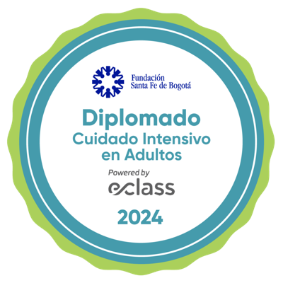Diplomado Cuidado Intensivo en Adultos