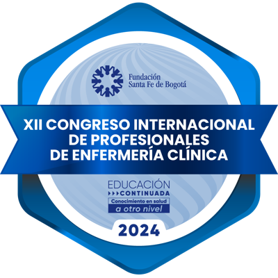 XII Congreso Internacional de Profesionales de Enfermería Clínica - Asistentes
