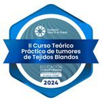 II Curso Teórico Práctico de Tumores de Tejidos Blandos  - Conferencista