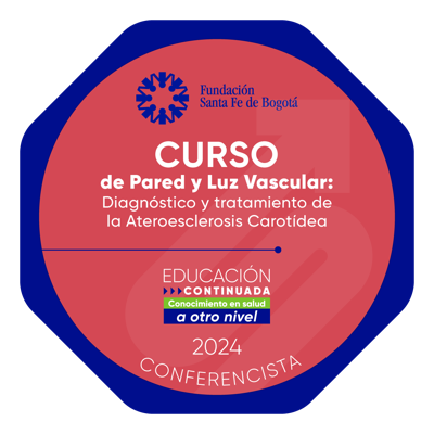 Curso Pared y luz Vascular: Diagnóstico y tratamiento en la ateroesclerosis Carotidea - Conferencista