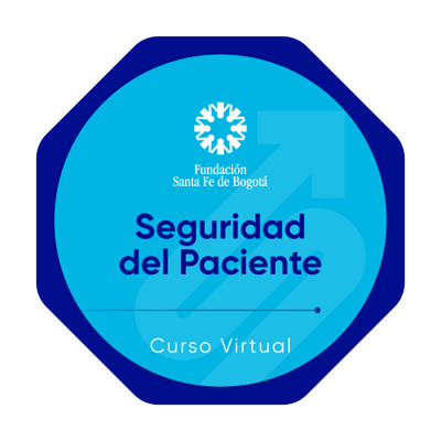 Seguridad del Paciente