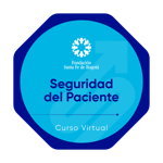 Seguridad del Paciente