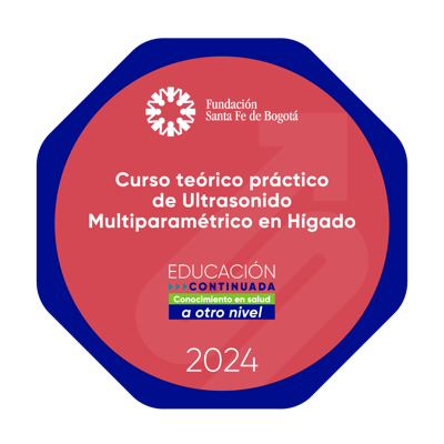 Curso Teórico Practico de Ultrasonido Multiparamétrico en Hígado