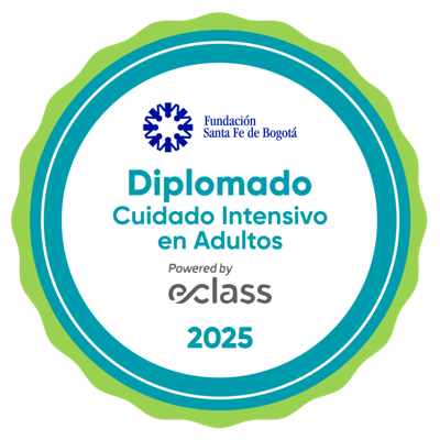 Diplomado Cuidado Intensivo en Adultos