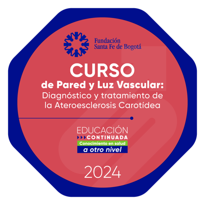 Curso Pared y luz Vascular: Diagnóstico y tratamiento en la ateroesclerosis Carotidea