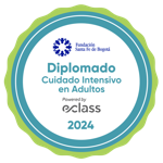 Diplomado Cuidado Intensivo en Adultos
