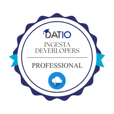 Ingesta Professional