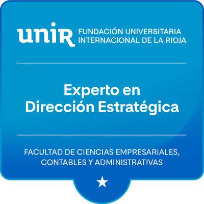 Experto en Dirección Estratégica
