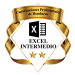 Microsoft Office Excel Intermedio