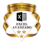 Microsoft Office Excel Avanzado