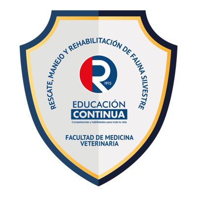 Imagen de la credencial