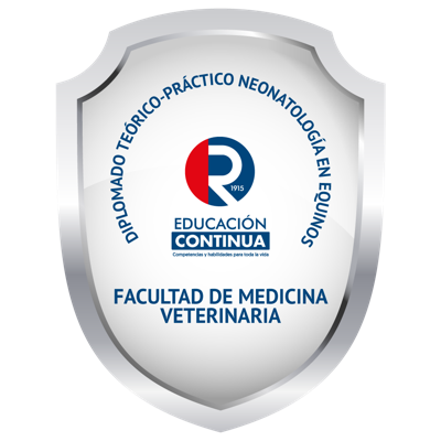 Imagen de la credencial
