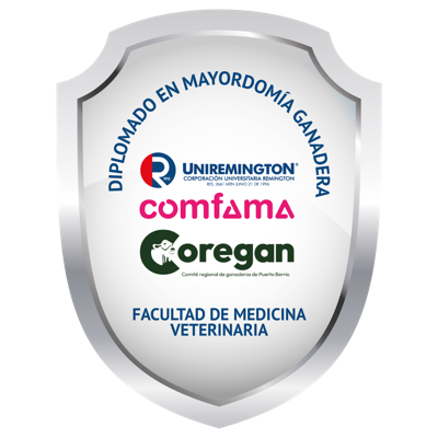 Imagen de la credencial