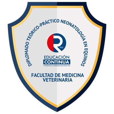 Imagen de la credencial
