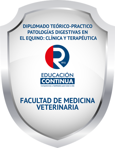 Imagen de la credencial