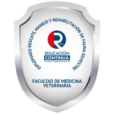 Imagen de la credencial