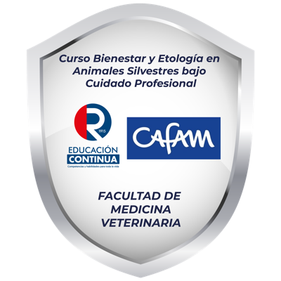 Imagen de la credencial