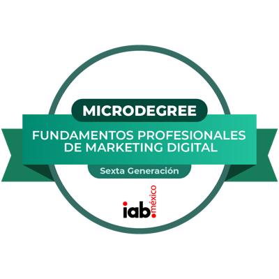 MicroDegree Fundamentos Profesionales de Marketing Digital - Sexta Generación
