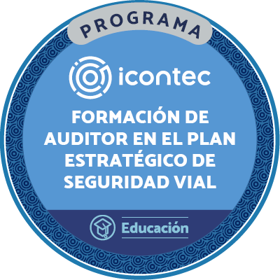 PROGRAMA DE FORMACIÓN DE AUDITORES INTERNOS EN EL PLAN ESTRATÉGICO DE SEGURIDAD VIAL
