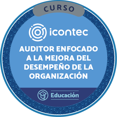 CURSO AUDITORIAS ENFOCADAS A LA MEJORA DEL DESEMPEÑO ORGANIZACIÓN