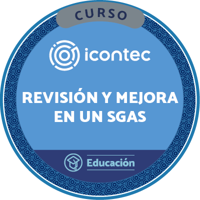 CURSO DE REVISIÓN Y MEJORA EN UN SGAS