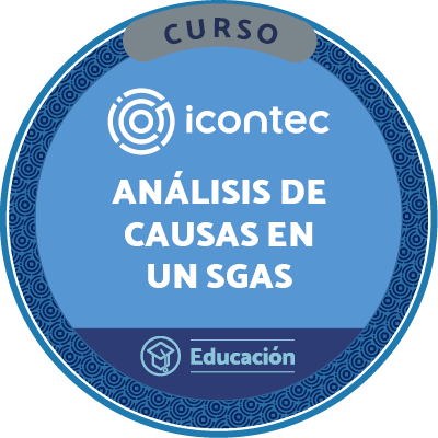 CURSO DE ANÁLISIS DE CAUSAS EN UN SGAS