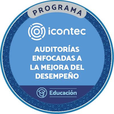 CURSO AUDITORIAS ENFOCADAS A LA MEJORA DEL DESEMPEÑO ORGANIZACIÓN