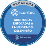 CURSO AUDITORIAS ENFOCADAS A LA MEJORA DEL DESEMPEÑO ORGANIZACIÓN