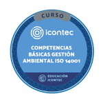 PRUEBA INSIGNIA