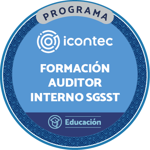 PROGRAMA DE FORMACIÓN DE AUDITOR INTERNO EN SISTEMAS DE GESTIÓN DE LA SEGURIDAD Y SALUD EN EL TRABAJO CON LAS NORMAS TÉCNICAS NTC ISO 45001:2018 Y GTC ISO 19011:2018