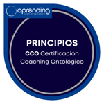 Principios del Coaching Ontológico (CCO Certificación Coaching Ontológico - Level 1 y 2 ICF).