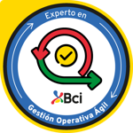 Experto en Gestión Operativa Ágil