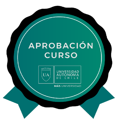 CURSO EN MARCOS NORMATIVOS INTERNACIONALES Y NACIONALES, UN ATERRIZAJE A LA POLÍTICA PÚBLICA DE GÉNERO EN CHILE